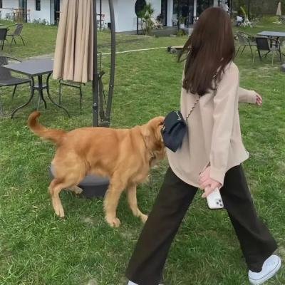 联华交响曲
