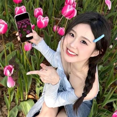 美丽的故事